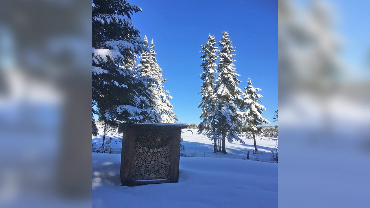 PHOTOS | L'hiver en Beauce dans toute sa splendeur (4 sur 5)