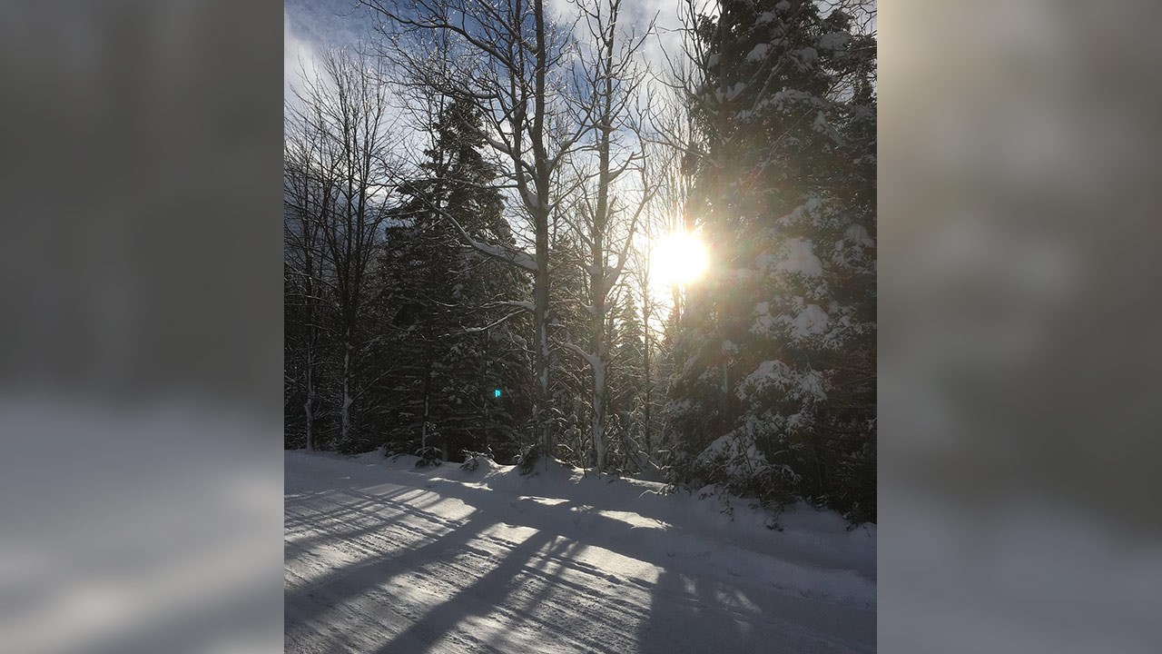 PHOTOS | L'hiver en Beauce dans toute sa splendeur (4 sur 5)