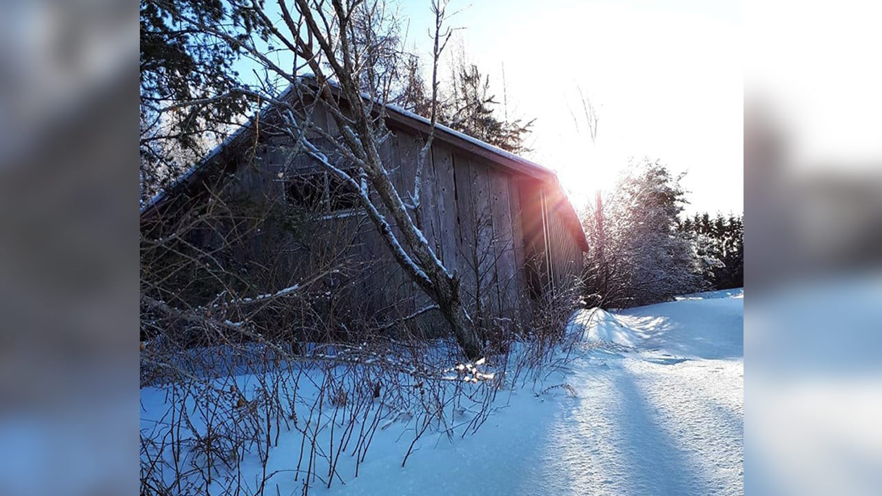 PHOTOS | L'hiver en Beauce dans toute sa splendeur (4 sur 5)