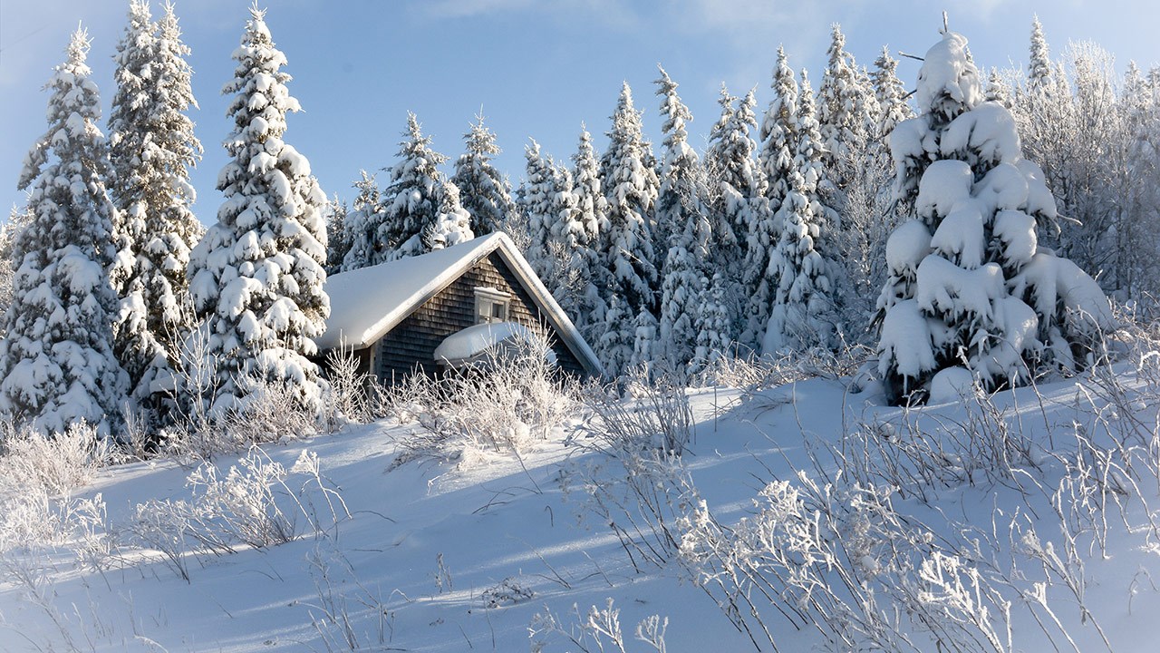 PHOTOS | L'hiver en Beauce dans toute sa splendeur (4 sur 5)