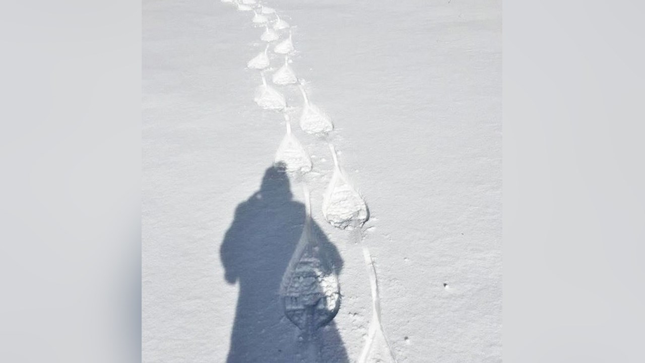 PHOTOS | L'hiver en Beauce dans toute sa splendeur (4 sur 5)