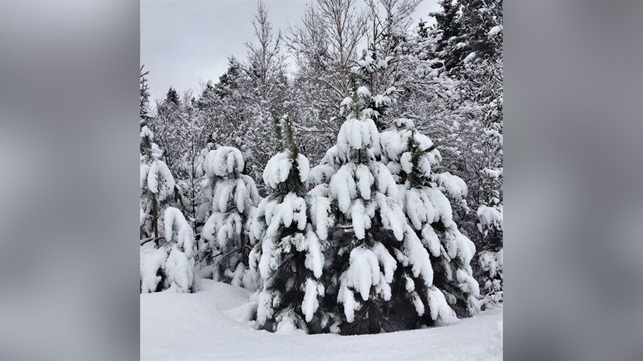 PHOTOS | L'hiver en Beauce dans toute sa splendeur (4 sur 5)