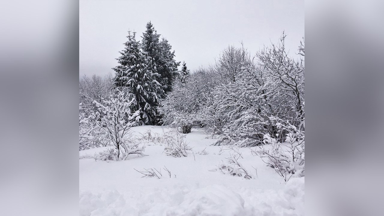 PHOTOS | L'hiver en Beauce dans toute sa splendeur (4 sur 5)