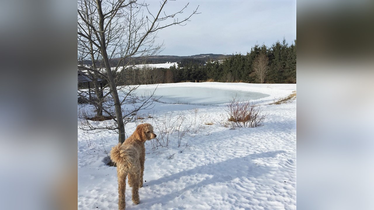 PHOTOS | L'hiver en Beauce dans toute sa splendeur (4 sur 5)