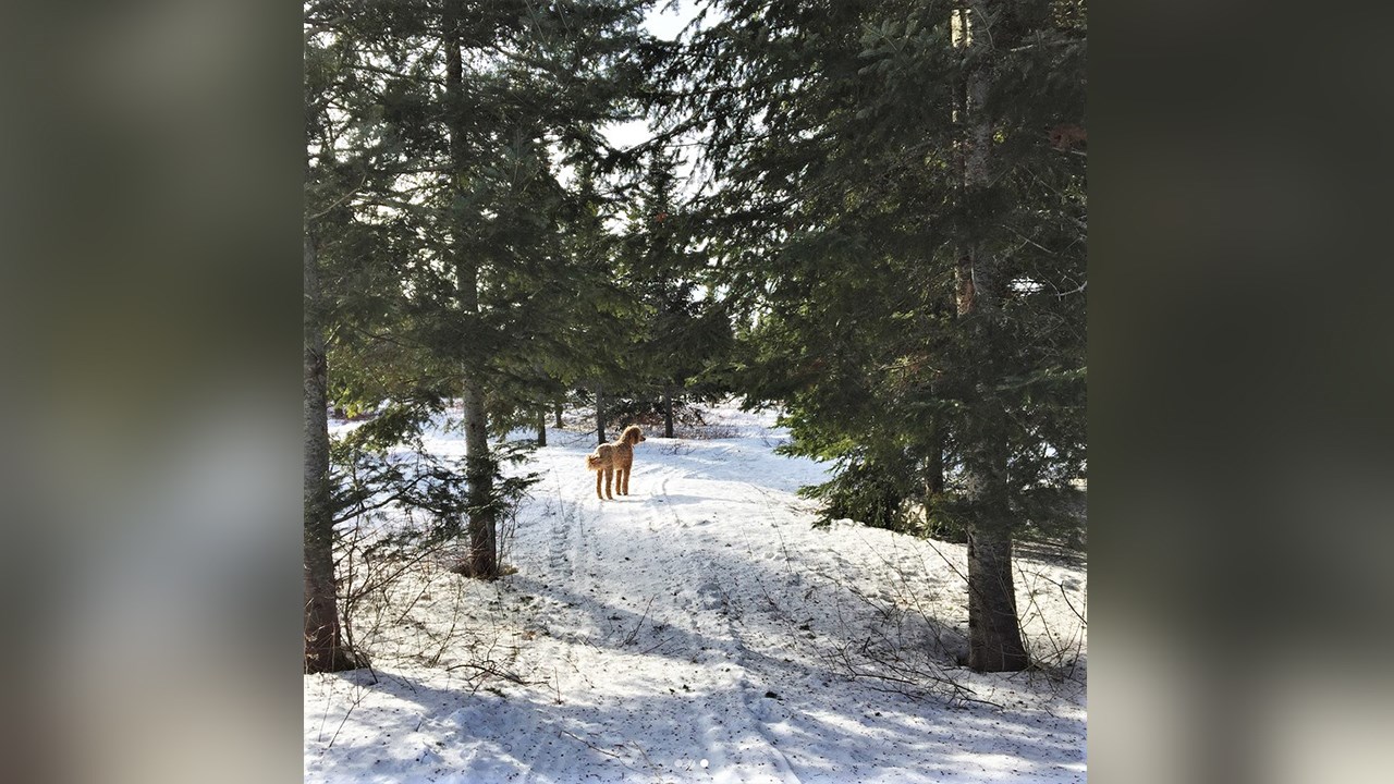 PHOTOS | L'hiver en Beauce dans toute sa splendeur (4 sur 5)