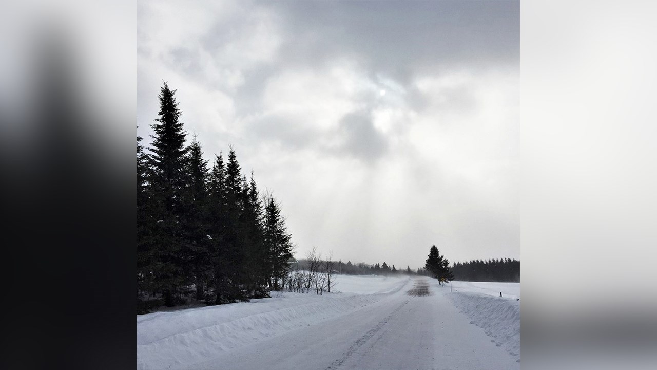 PHOTOS | L'hiver en Beauce dans toute sa splendeur (4 sur 5)