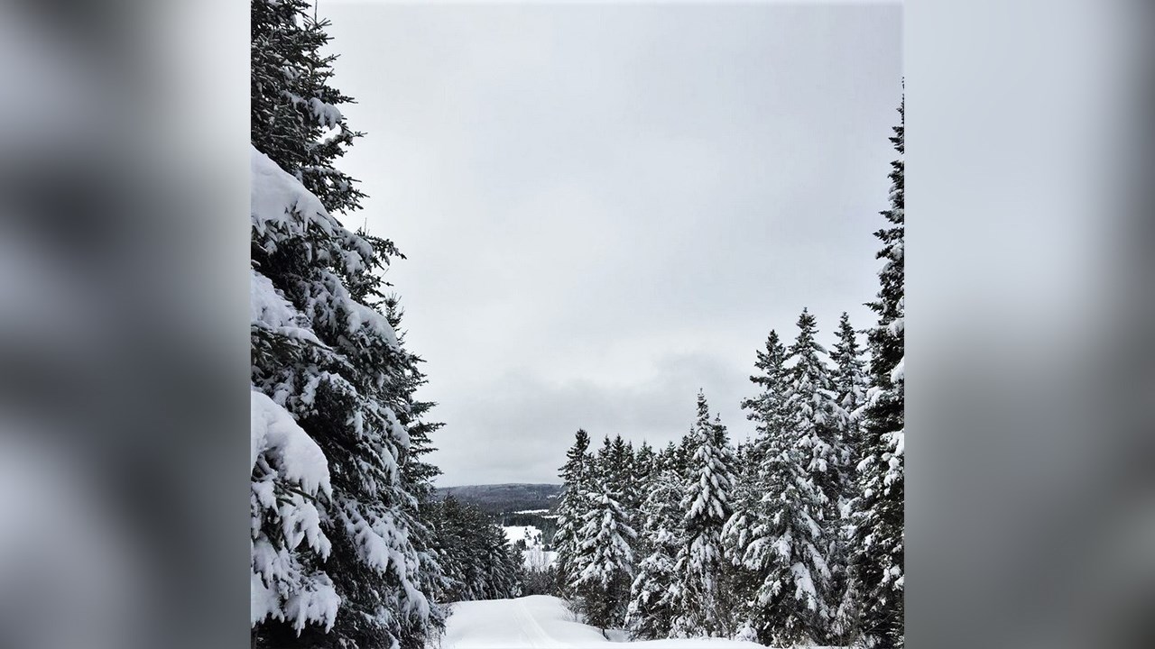 PHOTOS | L'hiver en Beauce dans toute sa splendeur (4 sur 5)
