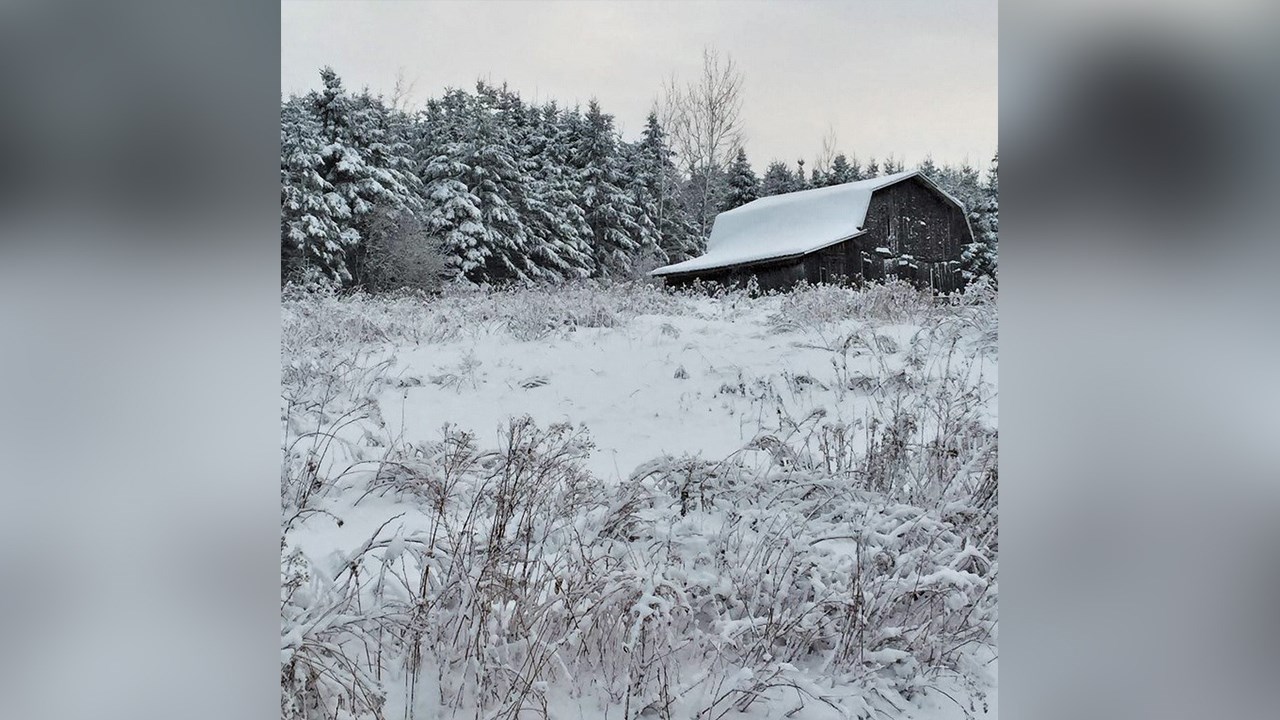 PHOTOS | L'hiver en Beauce dans toute sa splendeur (4 sur 5)