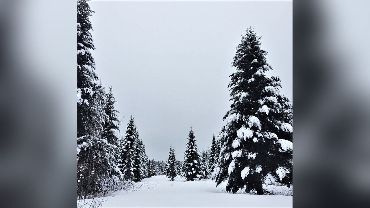 PHOTOS | L'hiver en Beauce dans toute sa splendeur (4 sur 5)