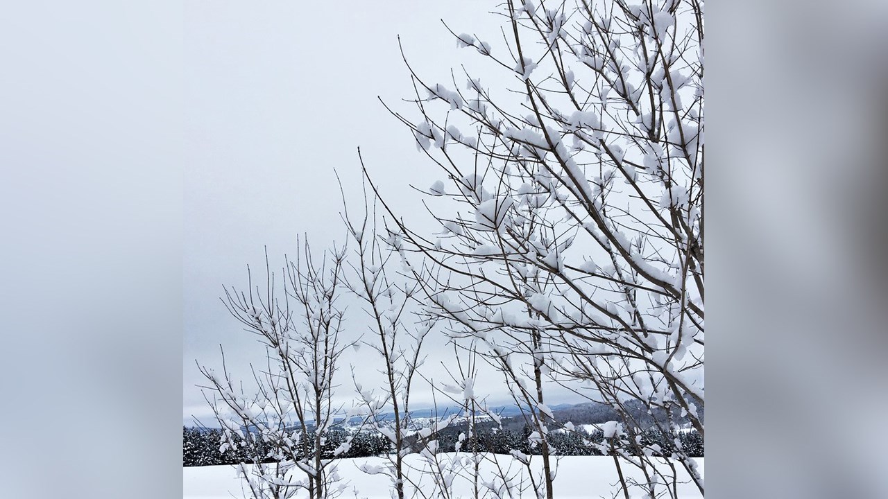 PHOTOS | L'hiver en Beauce dans toute sa splendeur (4 sur 5)