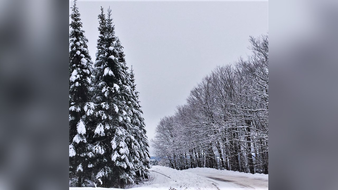 PHOTOS | L'hiver en Beauce dans toute sa splendeur (4 sur 5)
