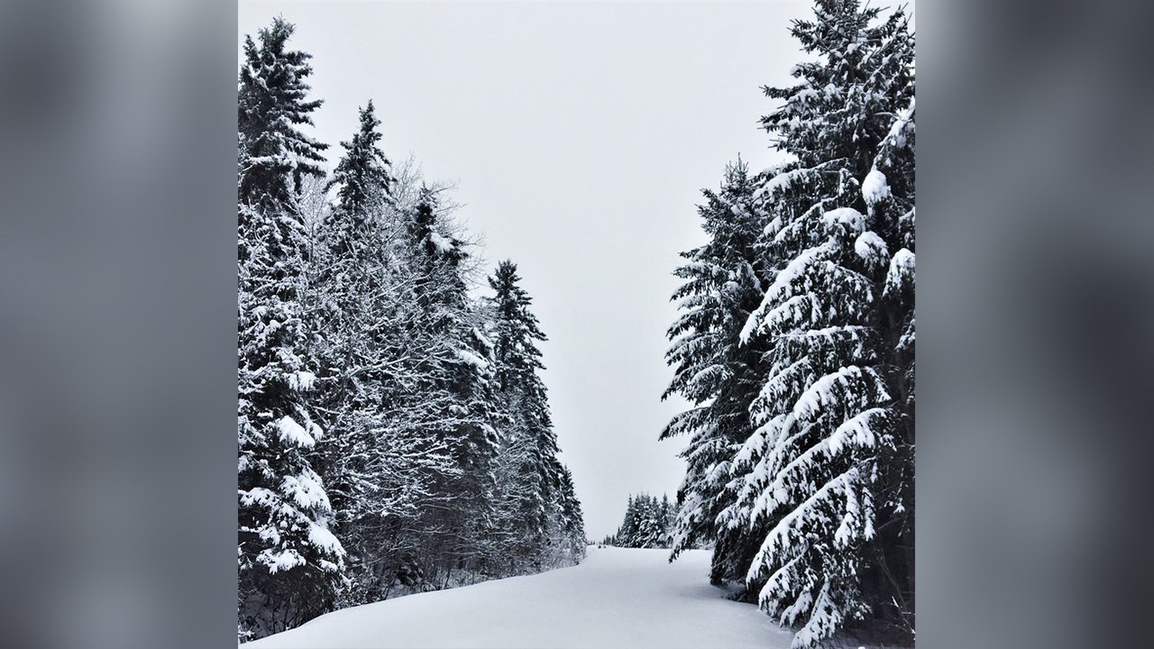 PHOTOS | L'hiver en Beauce dans toute sa splendeur (4 sur 5)