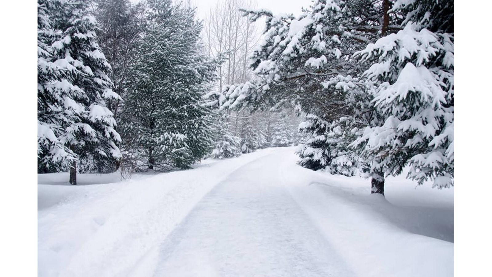 PHOTOS | L'hiver en Beauce dans toute sa splendeur (5 sur 5)
