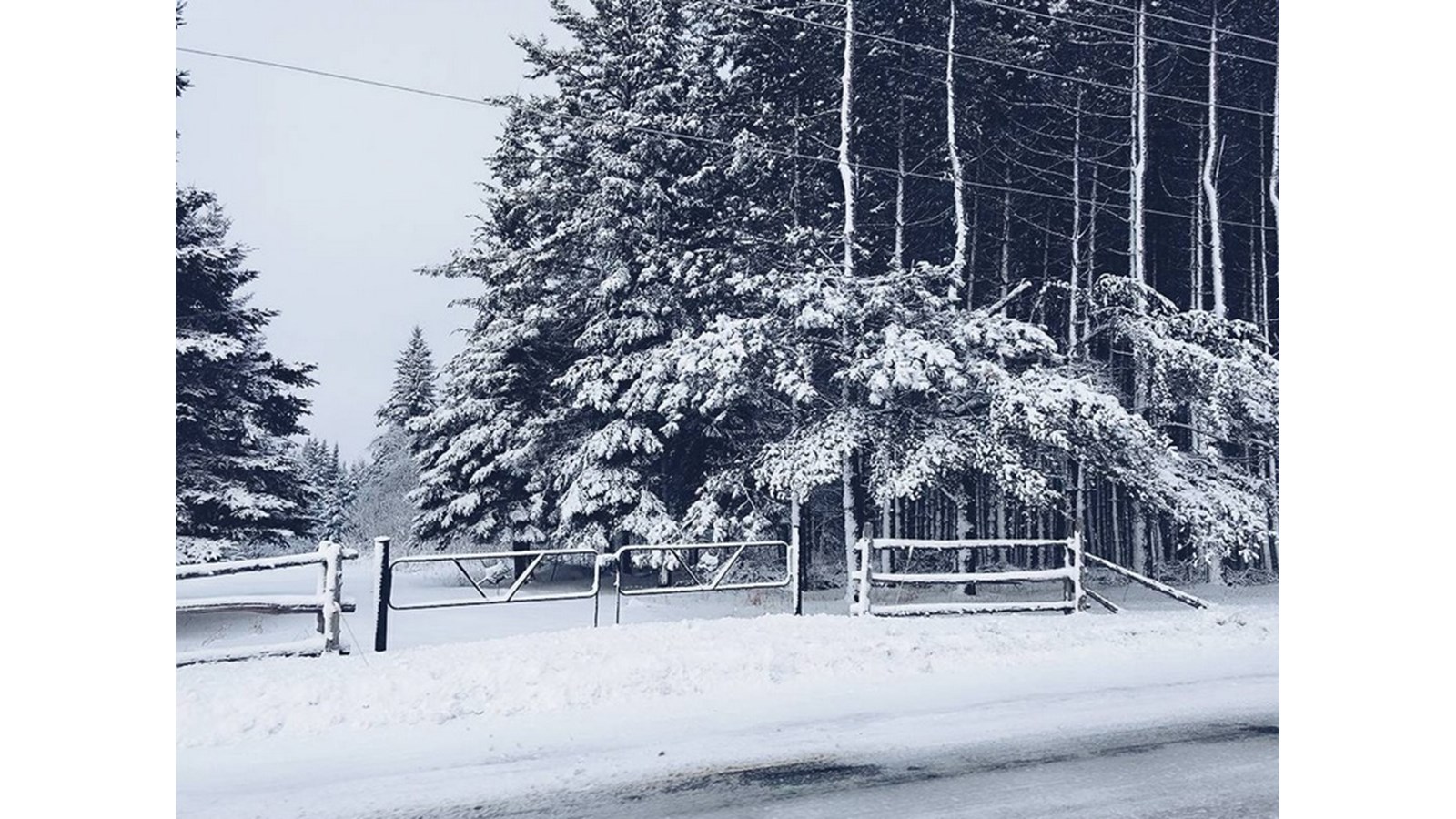 PHOTOS | L'hiver en Beauce dans toute sa splendeur (5 sur 5)