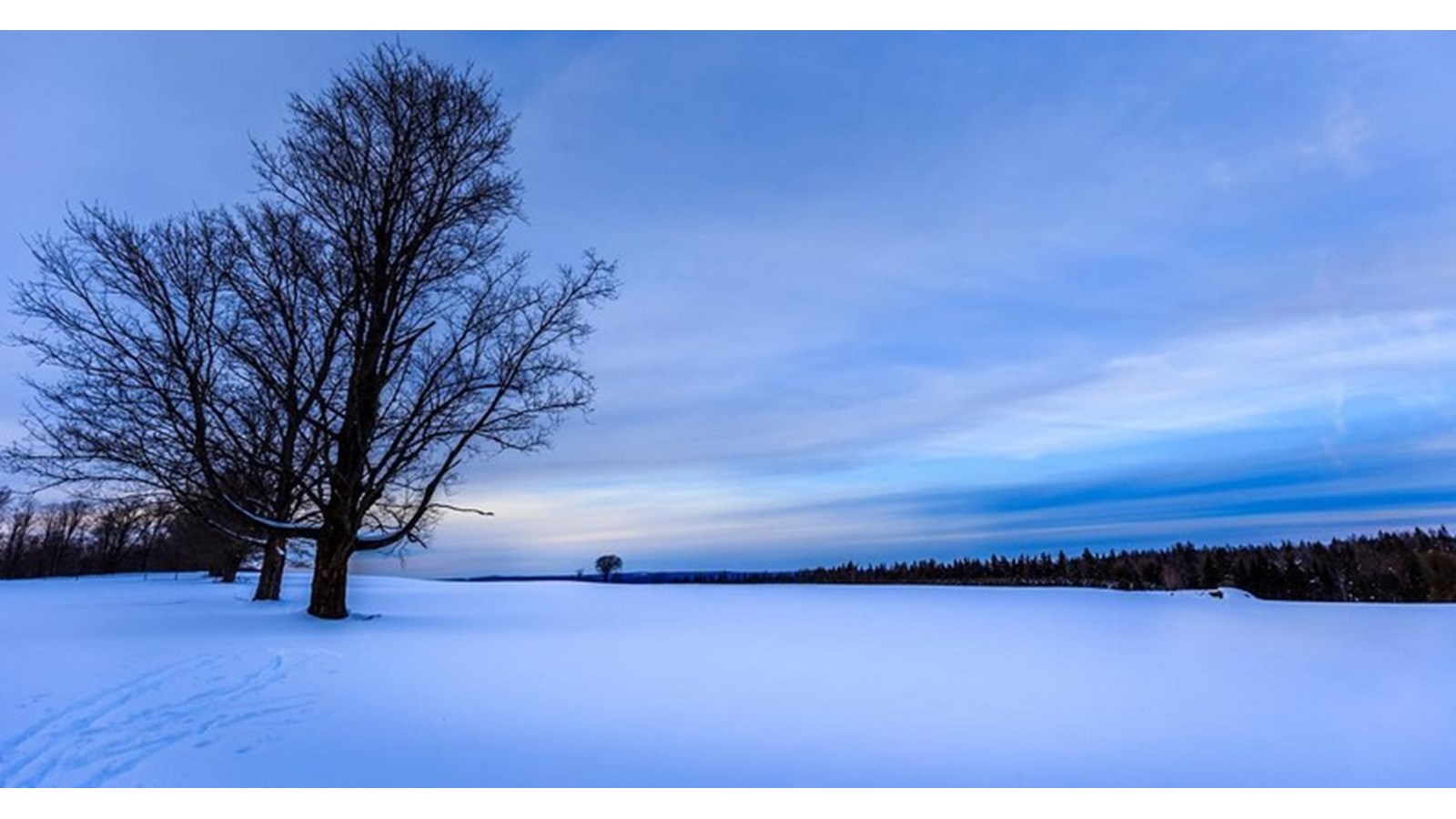 PHOTOS | L'hiver en Beauce dans toute sa splendeur (5 sur 5)