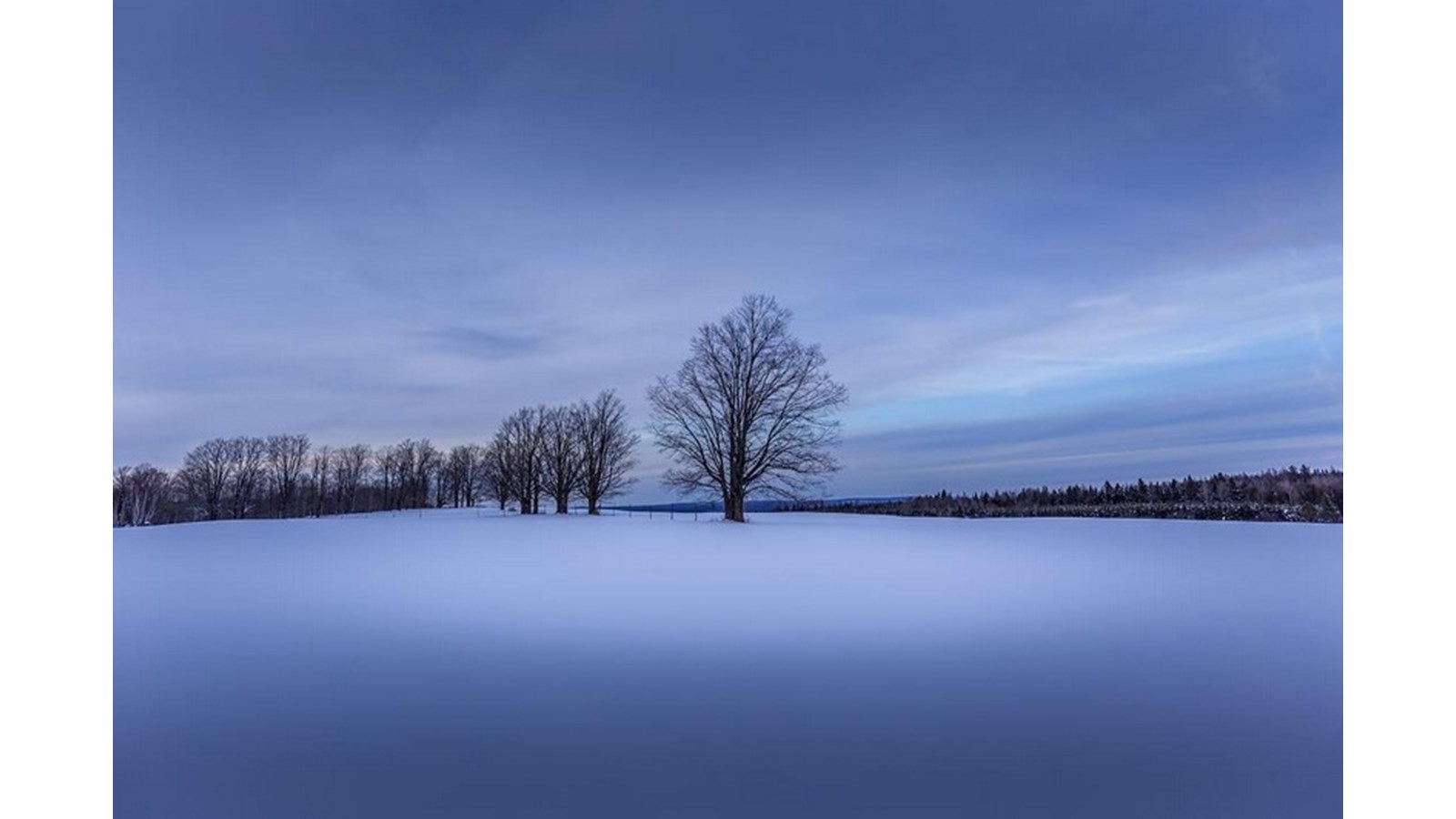 PHOTOS | L'hiver en Beauce dans toute sa splendeur (5 sur 5)