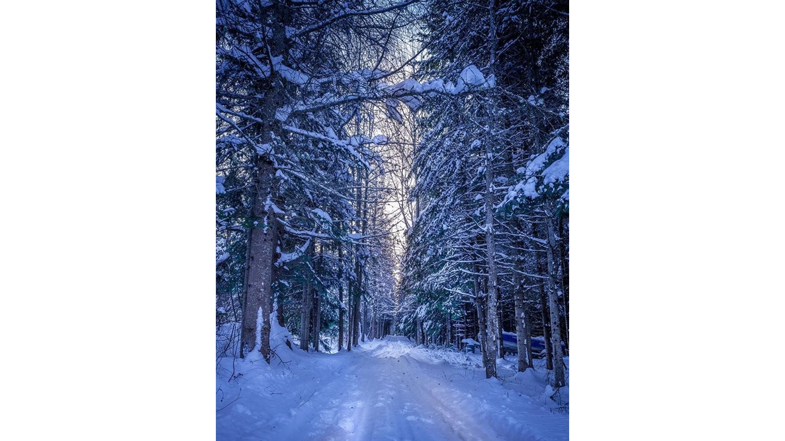 PHOTOS | L'hiver en Beauce dans toute sa splendeur (5 sur 5)