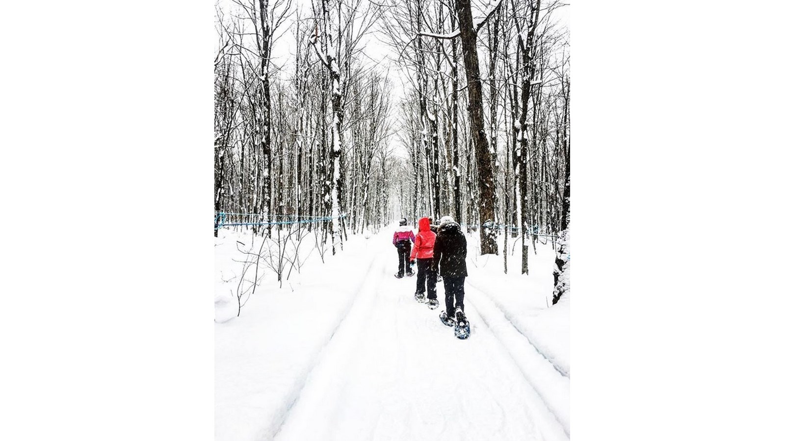 PHOTOS | L'hiver en Beauce dans toute sa splendeur (5 sur 5)