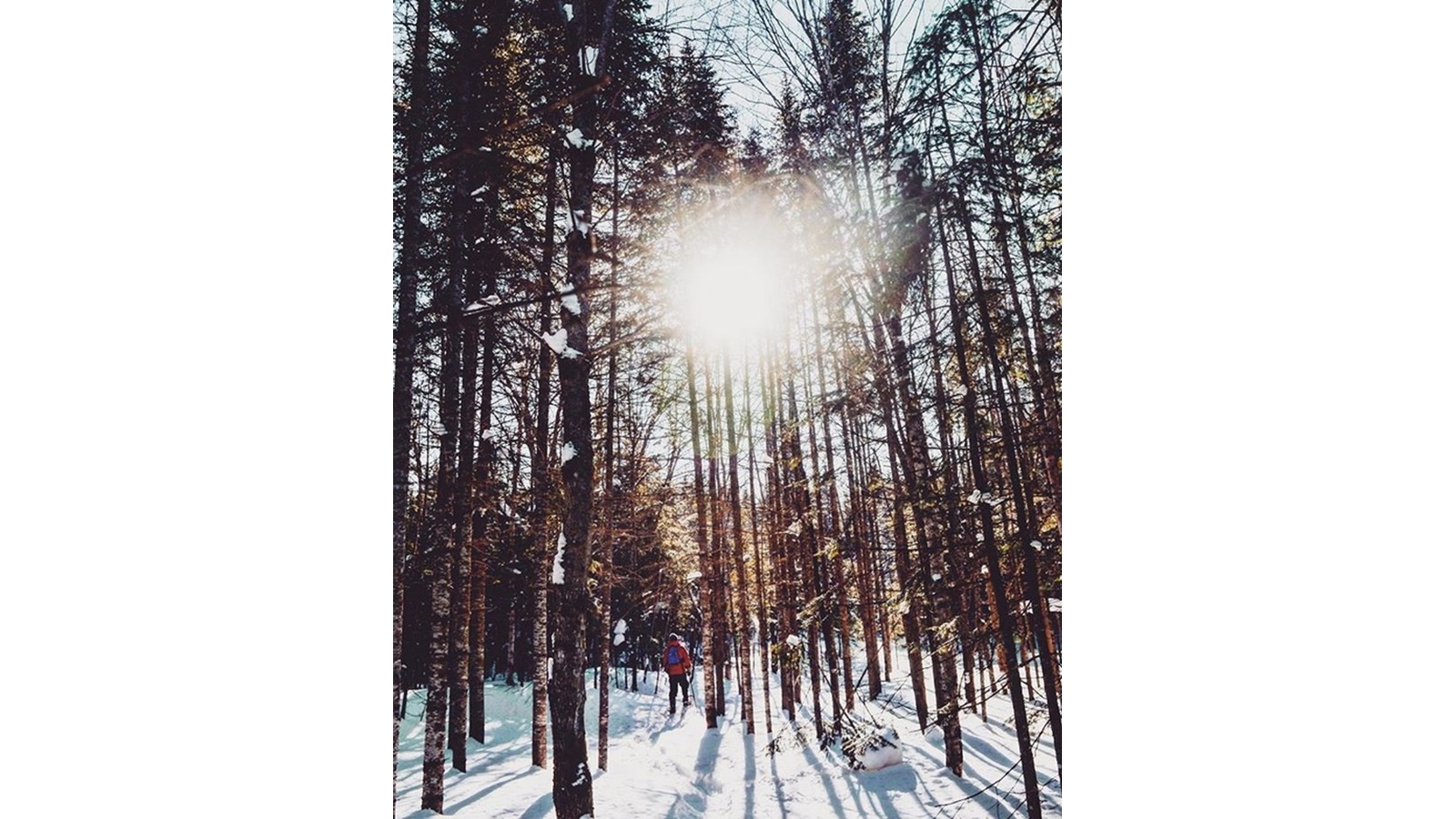 PHOTOS | L'hiver en Beauce dans toute sa splendeur (5 sur 5)