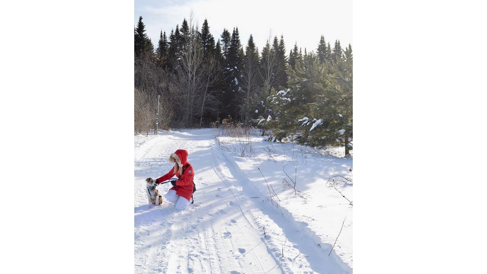 PHOTOS | L'hiver en Beauce dans toute sa splendeur (5 sur 5)