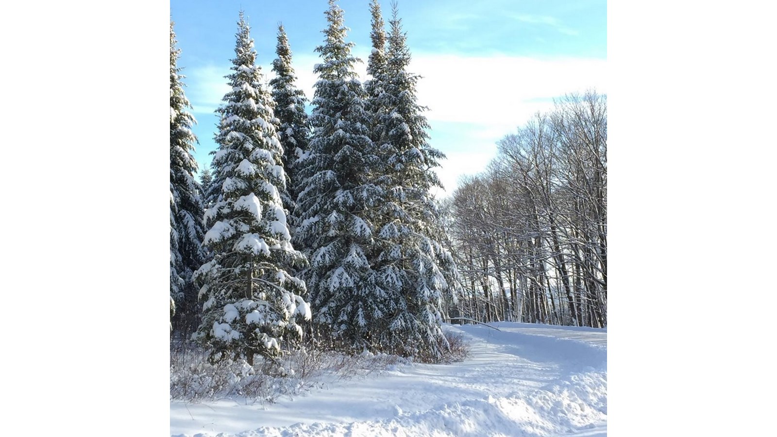 PHOTOS | L'hiver en Beauce dans toute sa splendeur (5 sur 5)