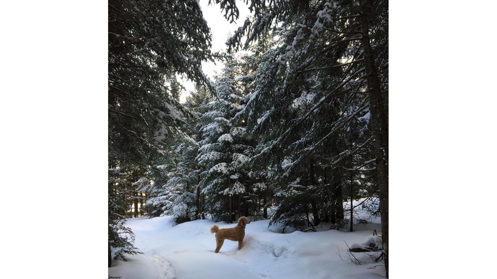 PHOTOS | L'hiver en Beauce dans toute sa splendeur (5 sur 5)