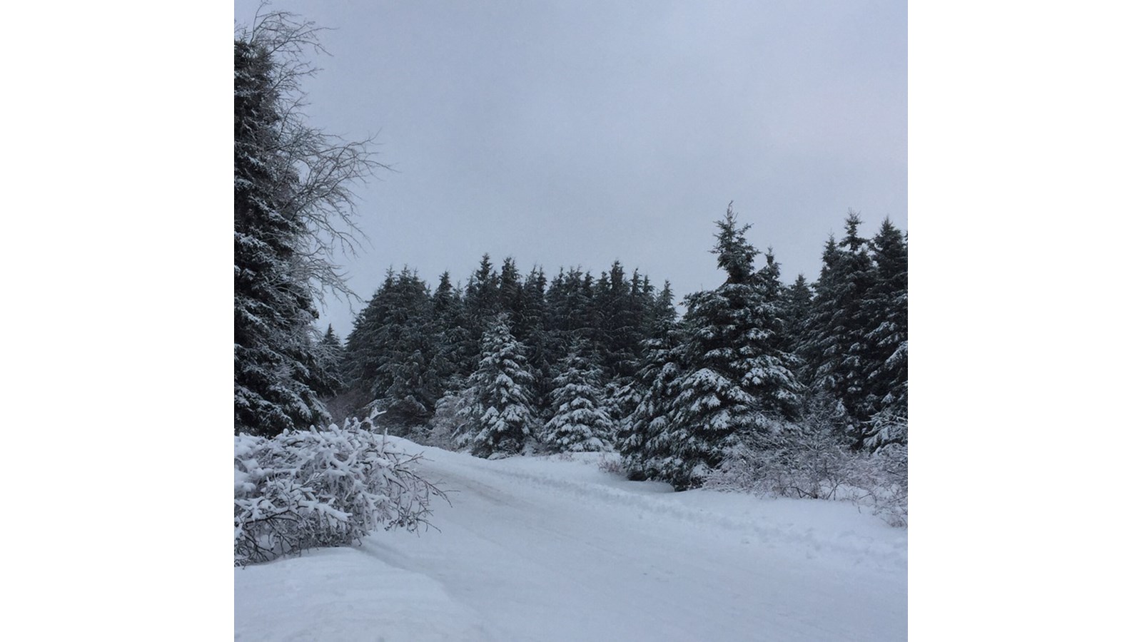 PHOTOS | L'hiver en Beauce dans toute sa splendeur (5 sur 5)