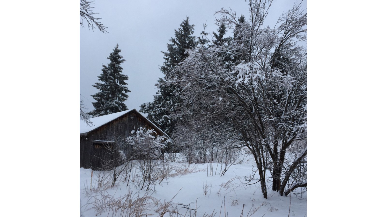 PHOTOS | L'hiver en Beauce dans toute sa splendeur (5 sur 5)