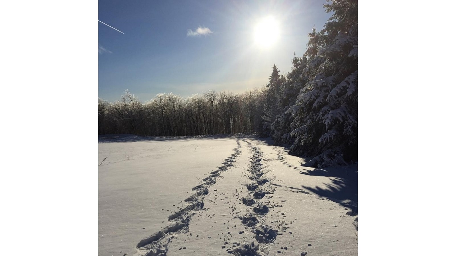 PHOTOS | L'hiver en Beauce dans toute sa splendeur (5 sur 5)