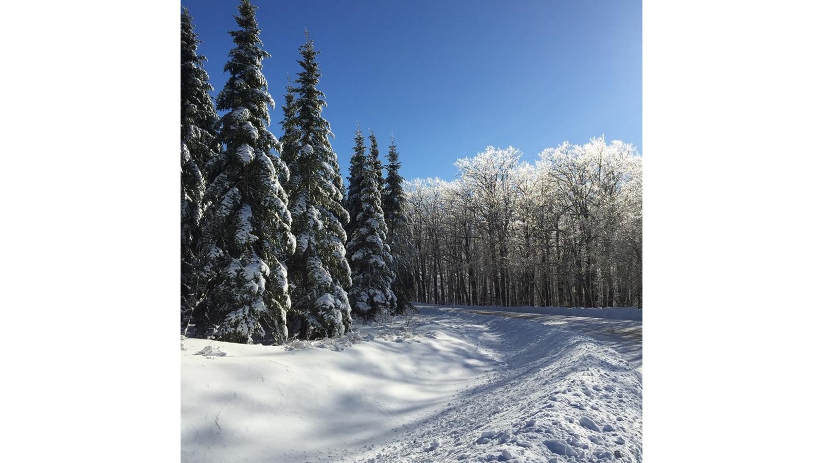 PHOTOS | L'hiver en Beauce dans toute sa splendeur (5 sur 5)