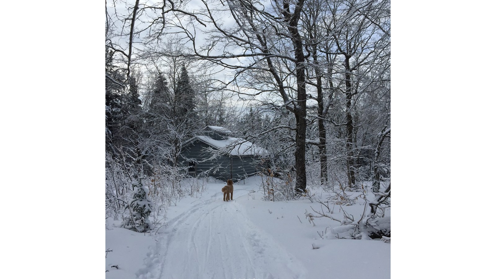 PHOTOS | L'hiver en Beauce dans toute sa splendeur (5 sur 5)