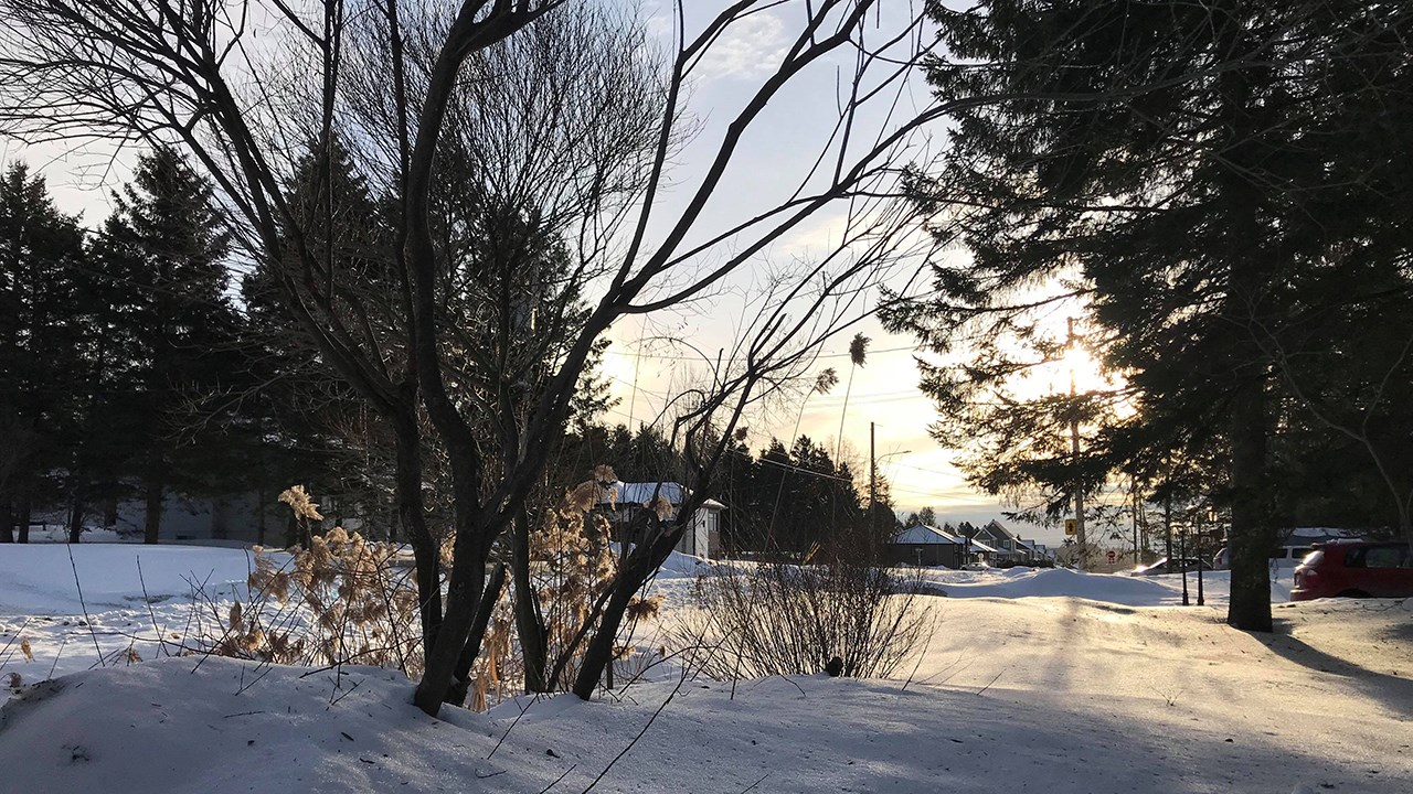 PHOTOS | L'hiver en Beauce dans toute sa splendeur (3 sur 5)
