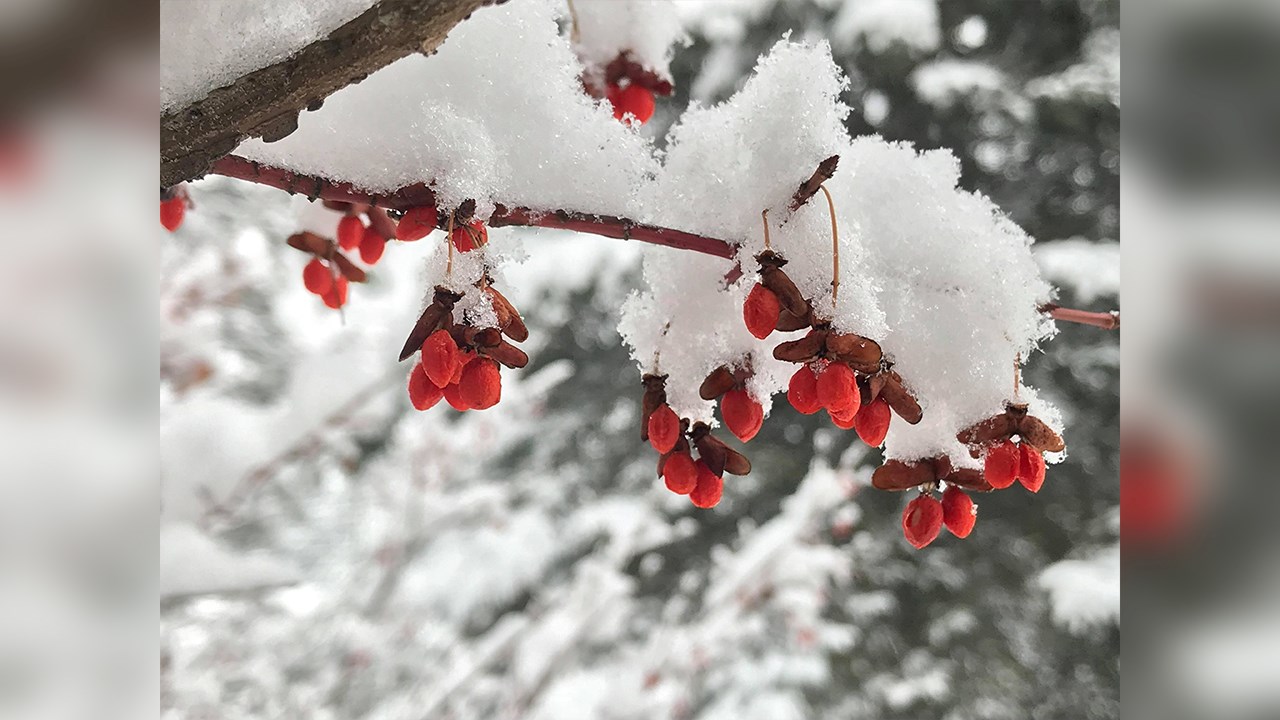 PHOTOS | L'hiver en Beauce dans toute sa splendeur (3 sur 5)