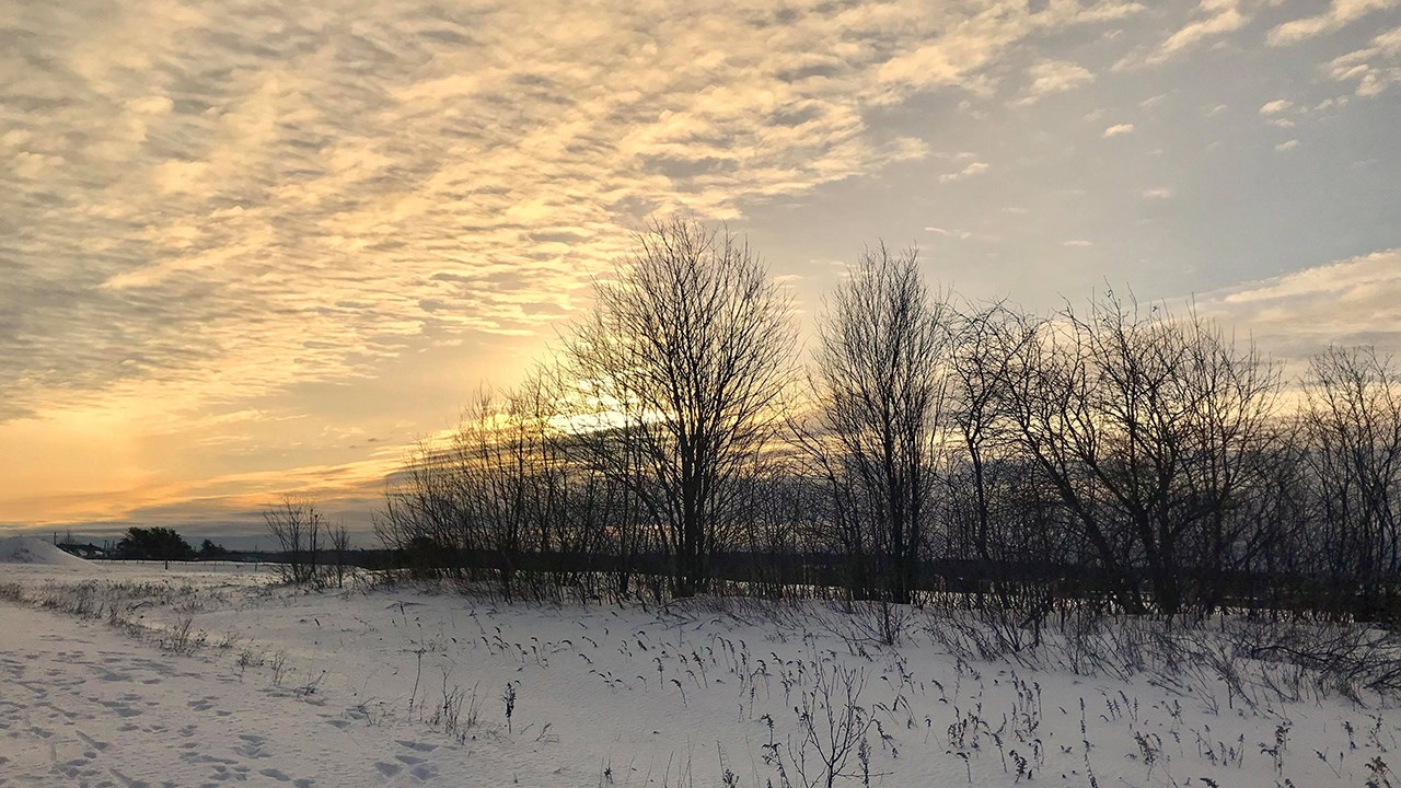 PHOTOS | L'hiver en Beauce dans toute sa splendeur (3 sur 5)