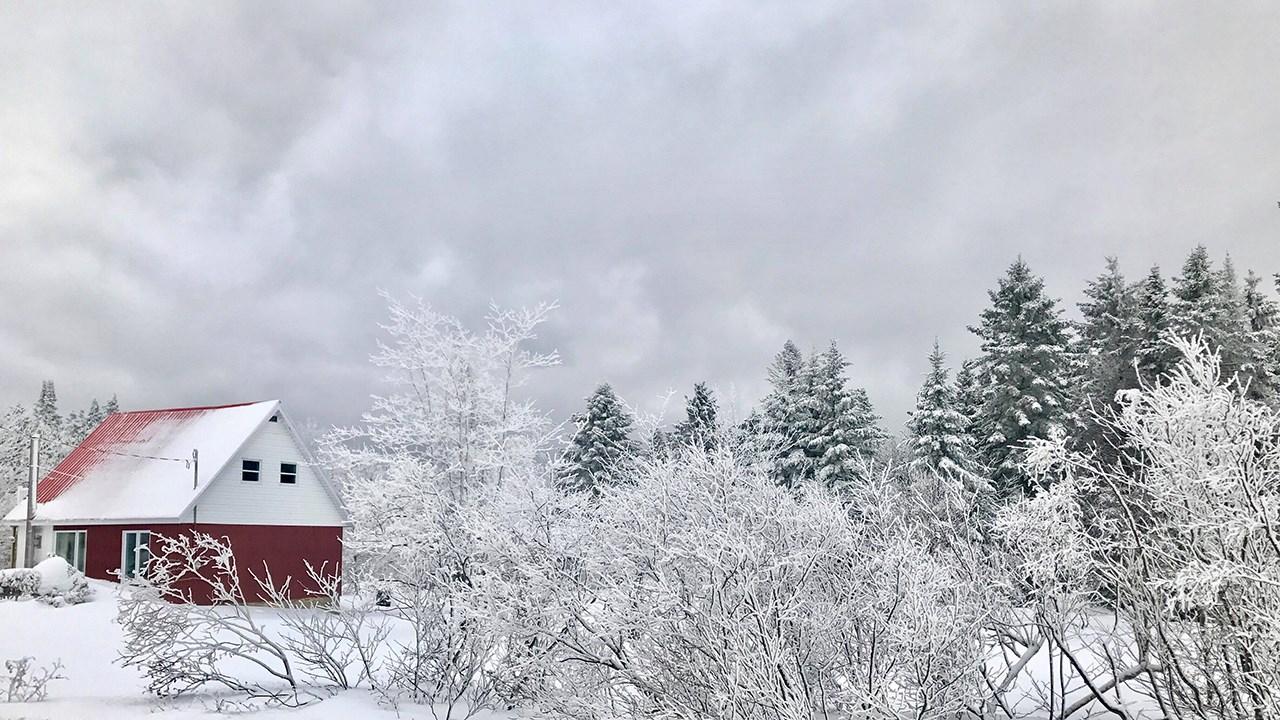 PHOTOS | L'hiver en Beauce dans toute sa splendeur (3 sur 5)