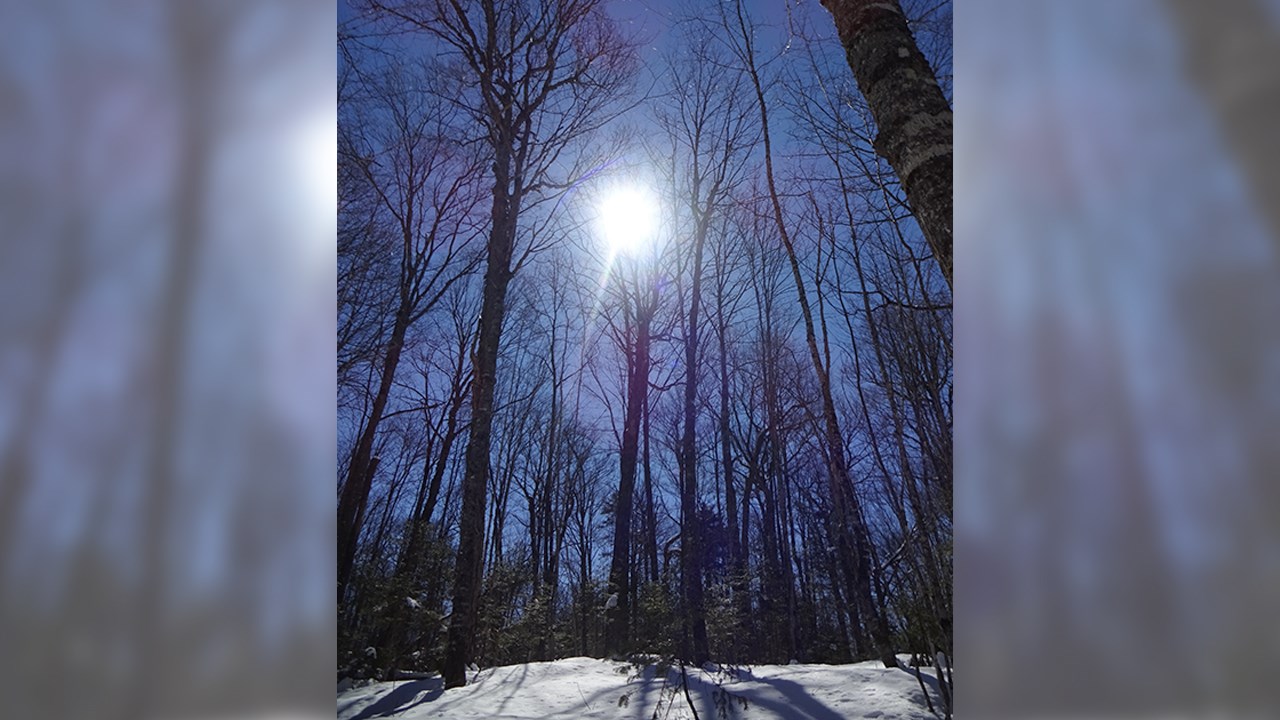 PHOTOS | L'hiver en Beauce dans toute sa splendeur (3 sur 5)
