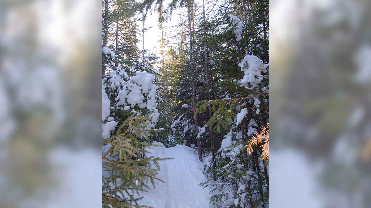 PHOTOS | L'hiver en Beauce dans toute sa splendeur (3 sur 5)