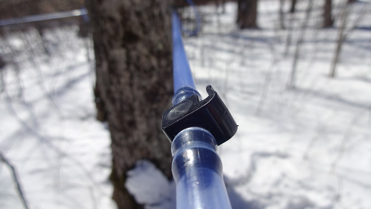 PHOTOS | L'hiver en Beauce dans toute sa splendeur (3 sur 5)