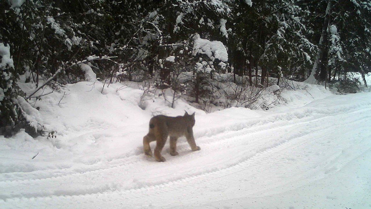 PHOTOS | L'hiver en Beauce dans toute sa splendeur (3 sur 5)