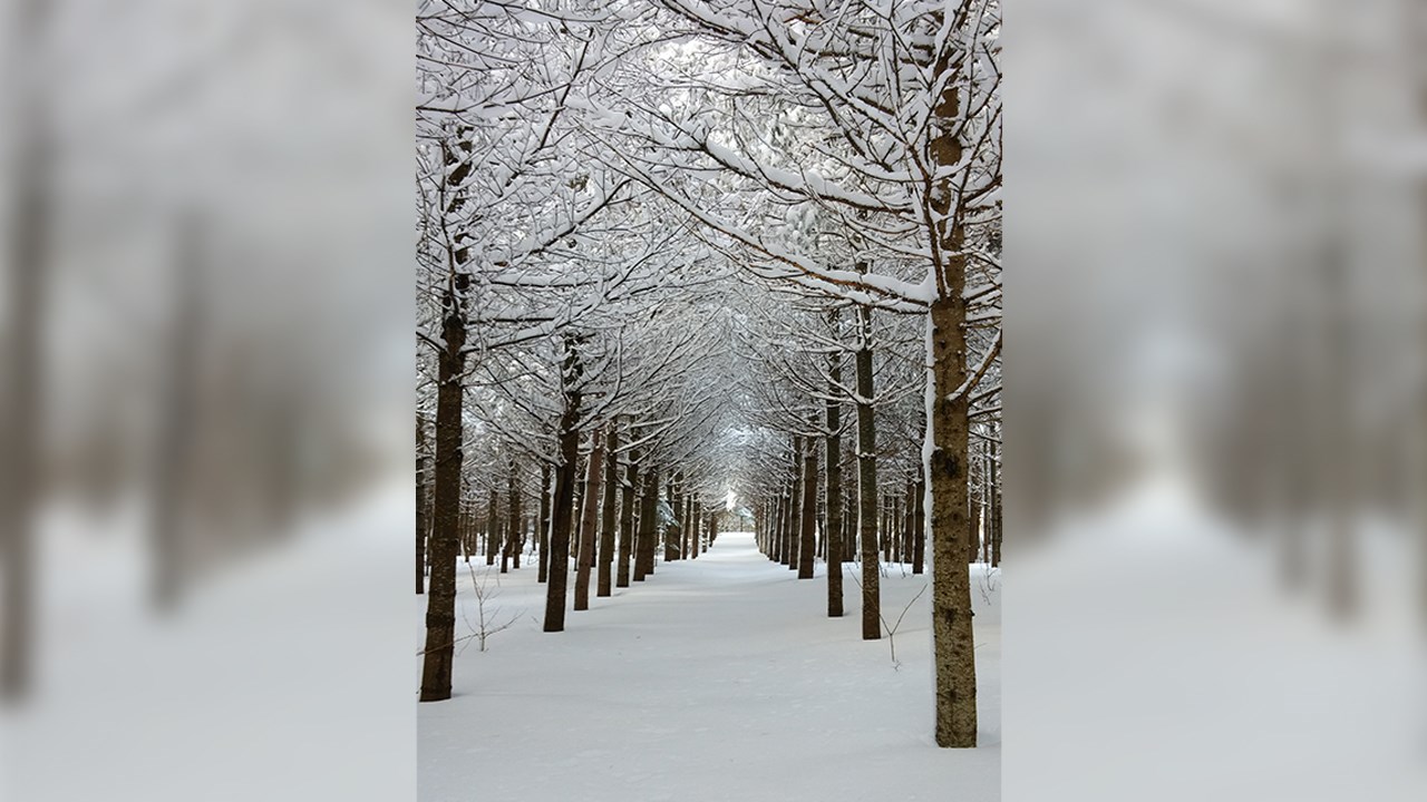 PHOTOS | L'hiver en Beauce dans toute sa splendeur (3 sur 5)