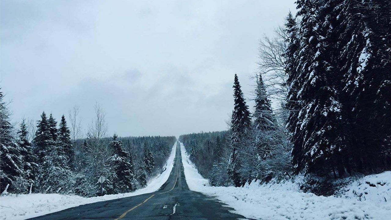 PHOTOS | L'hiver en Beauce dans toute sa splendeur (3 sur 5)