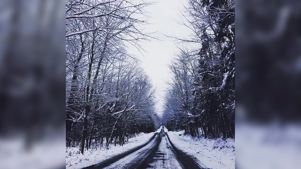 PHOTOS | L'hiver en Beauce dans toute sa splendeur (3 sur 5)