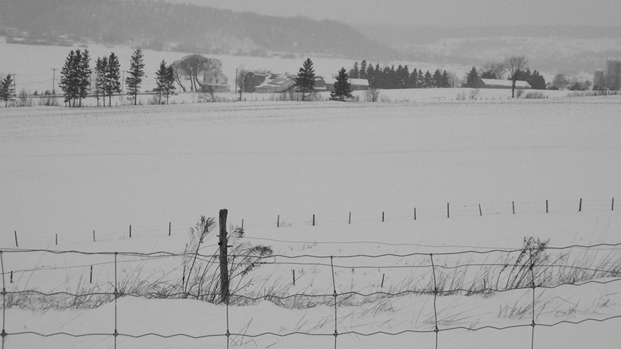 PHOTOS | L'hiver en Beauce dans toute sa splendeur (3 sur 5)