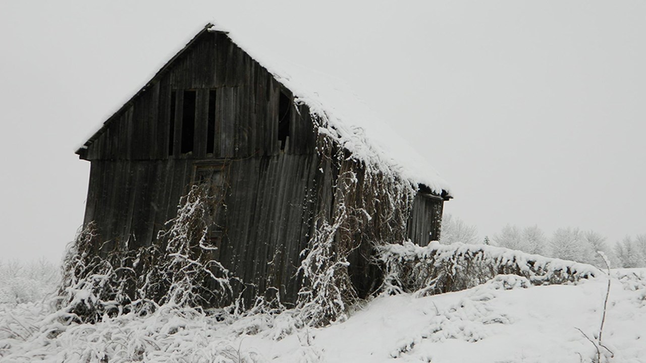 PHOTOS | L'hiver en Beauce dans toute sa splendeur (3 sur 5)