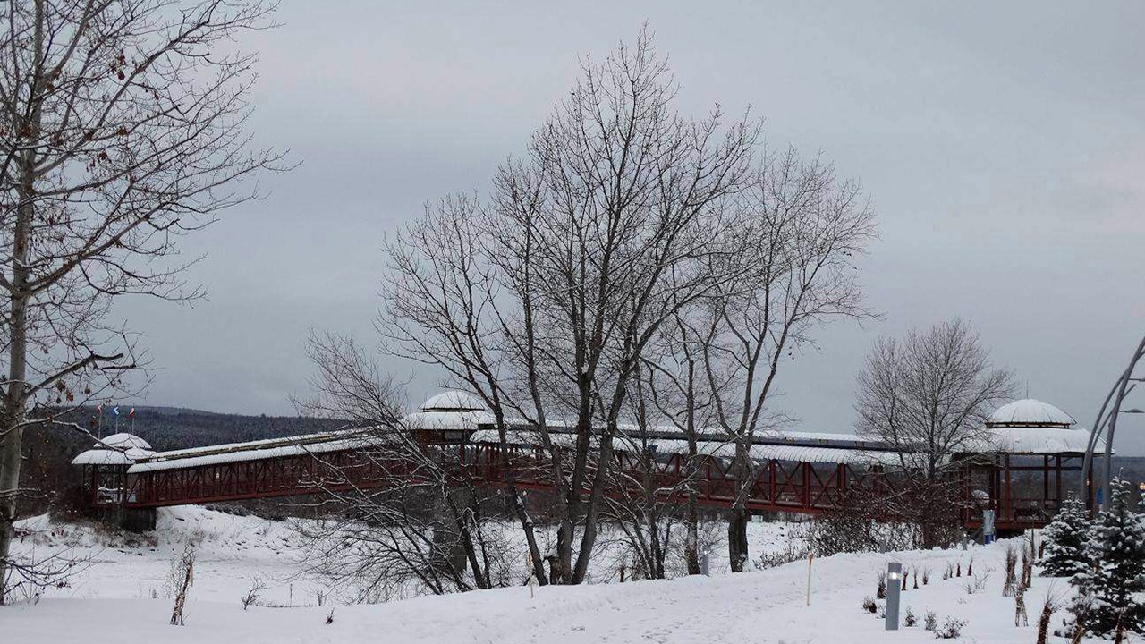 PHOTOS | L'hiver en Beauce dans toute sa splendeur (3 sur 5)