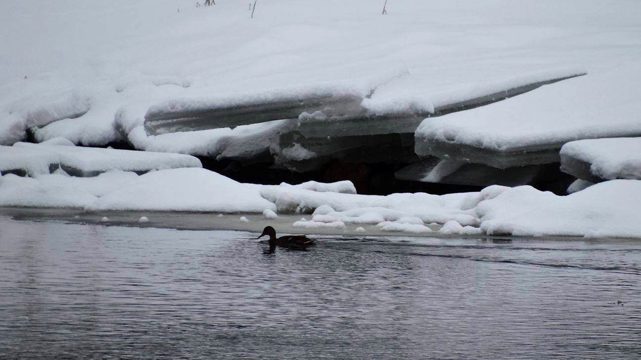PHOTOS | L'hiver en Beauce dans toute sa splendeur (3 sur 5)