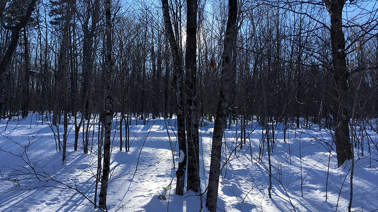 PHOTOS | L'hiver en Beauce dans toute sa splendeur (3 sur 5)