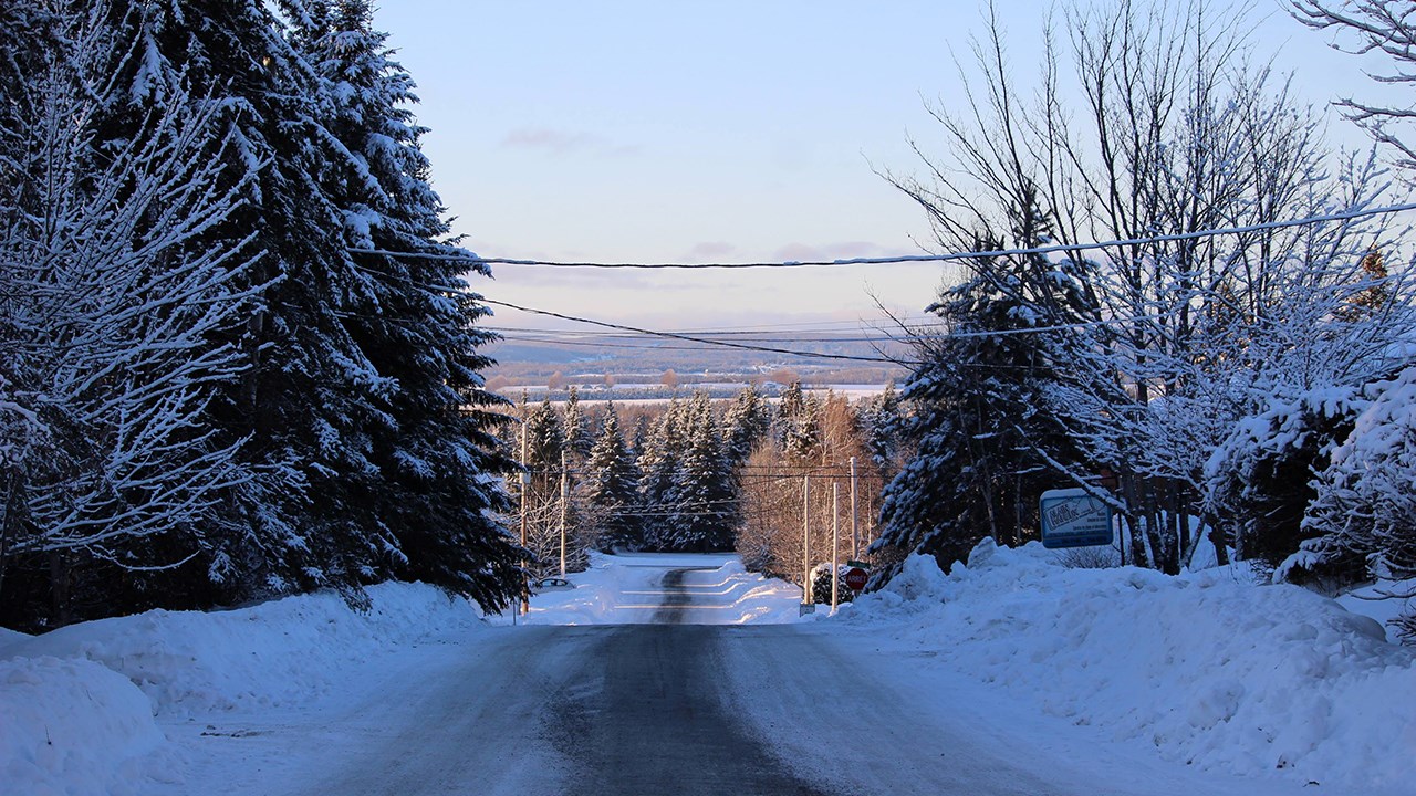 PHOTOS | L'hiver en Beauce dans toute sa splendeur (3 sur 5)