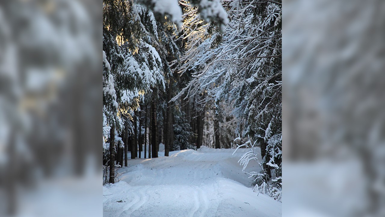 PHOTOS | L'hiver en Beauce dans toute sa splendeur (3 sur 5)
