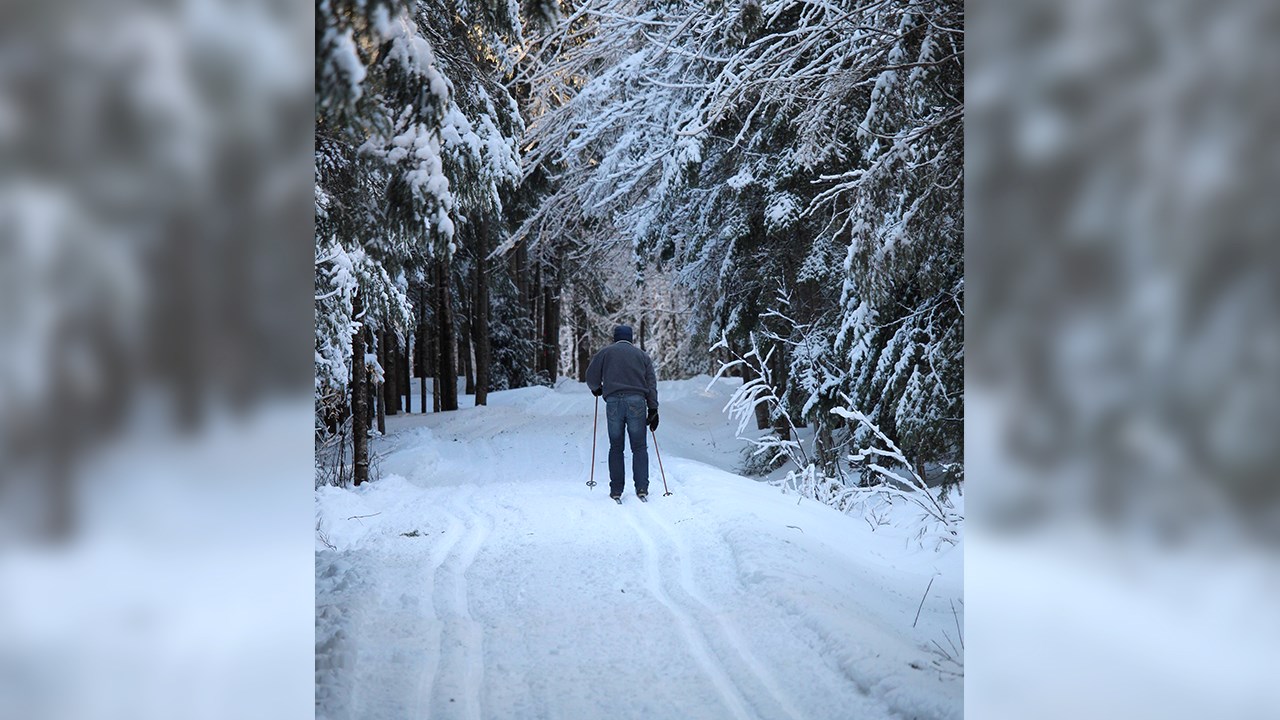 PHOTOS | L'hiver en Beauce dans toute sa splendeur (3 sur 5)
